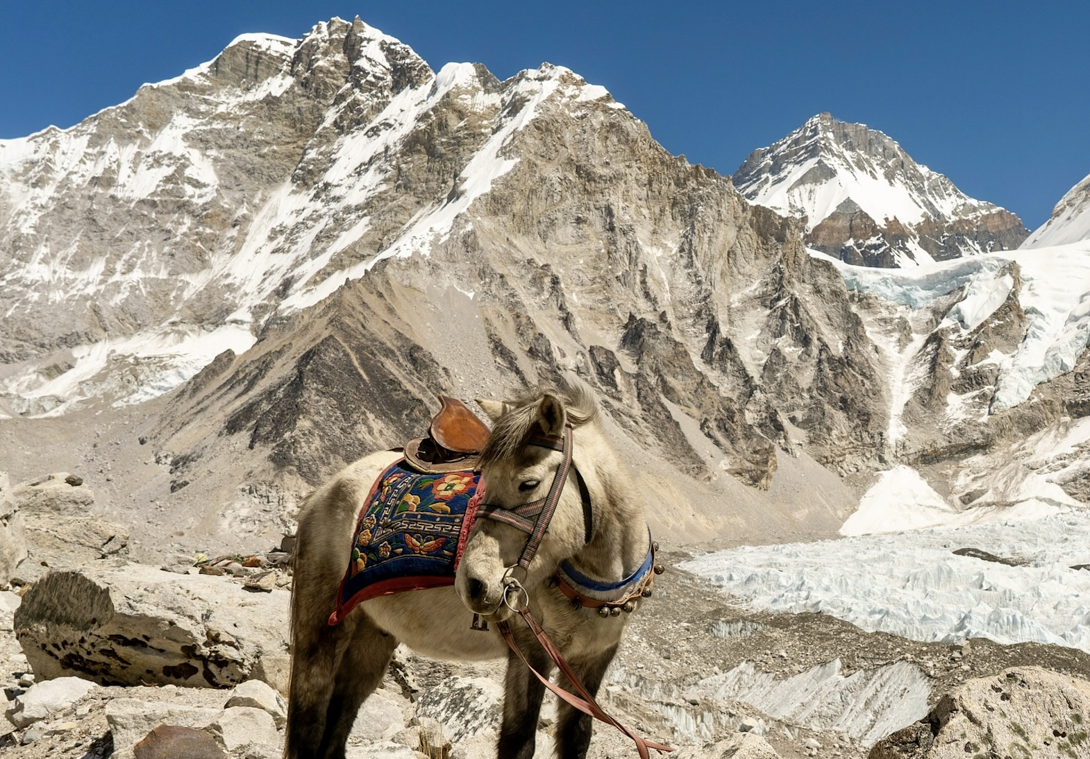 Everest Horseback Trek